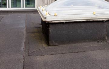 disadvantages of Hayes Knoll flat roofs