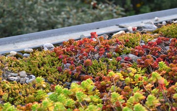 the cost of Hayes Knoll green roof installation