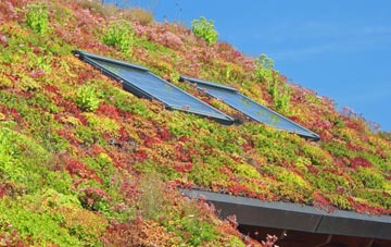 Hayes Knoll living roof systems