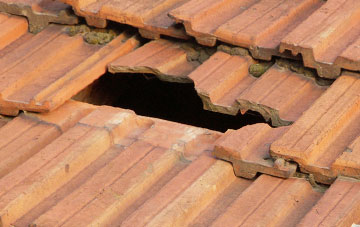 roof repair Hayes Knoll, Wiltshire